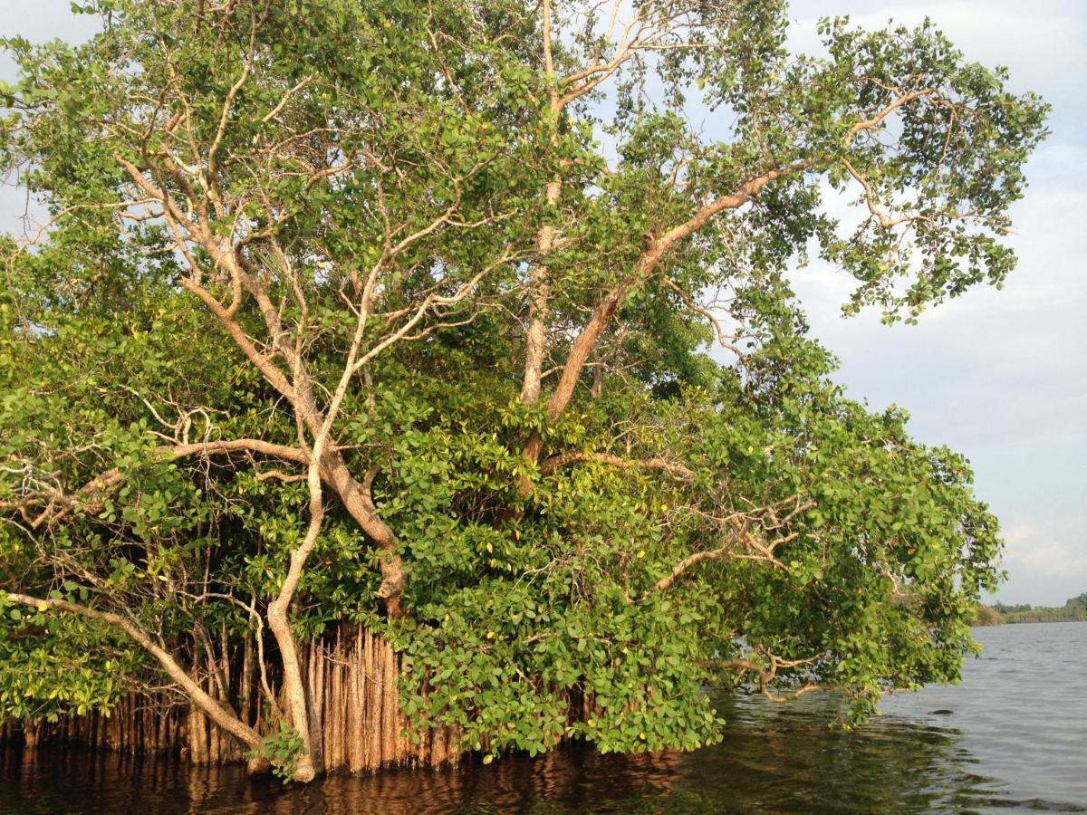 Lake Life Villa Ambalangoda  Exterior foto